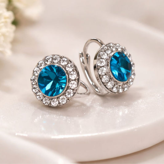 Z091 Stone Earrings
